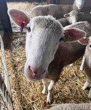 Load image into Gallery viewer, Farm Donation
